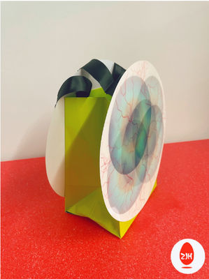 200gsm di lusso Art Paper Shopping Paper Bags con torto ed arco